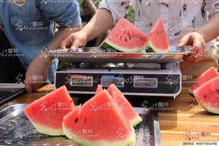 山东今日吃瓜事件,一场网络热议背后的真相探寻