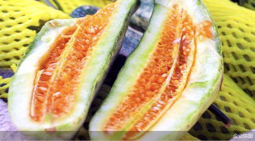 山东今日吃瓜事件,一场网络热议背后的真相探寻