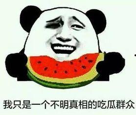 吃瓜老人的事情,揭秘网络舆论的狂欢与反思