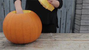 笋瓜吃瓜,一场别开生面的夏日盛宴