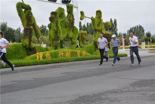 全民健身吃瓜,揭秘运动与休闲的完美融合