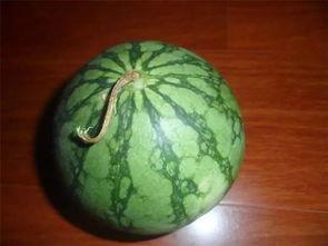 老捶吃瓜,揭秘娱乐圈幕后故事