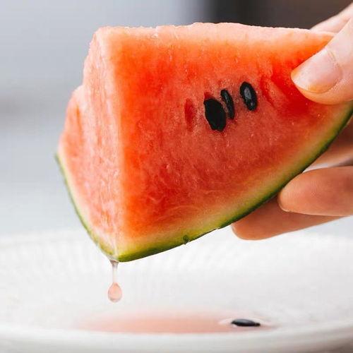 吃瓜集合封面,一场视觉盛宴的狂欢之旅