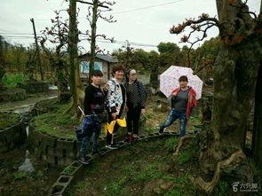 来凤龙山吃瓜,夏日消暑吃瓜，体验地道乡村风情