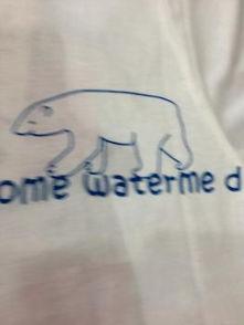 吃瓜小熊暗恋,吃瓜小熊的心动之旅