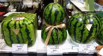 全球吃瓜中心,揭秘娱乐圈幕后风云