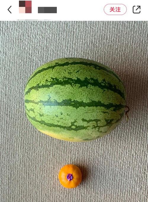 全球吃瓜中心,揭秘娱乐圈幕后风云