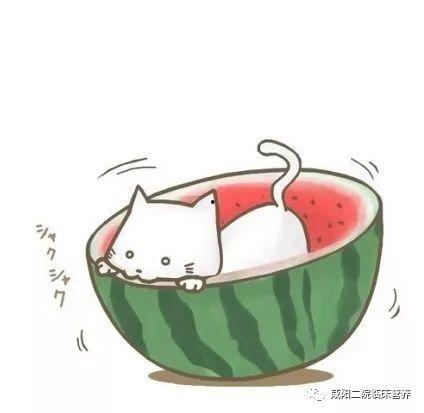 吃瓜小子头像情侣,吃瓜小子头像情侣的浪漫故事