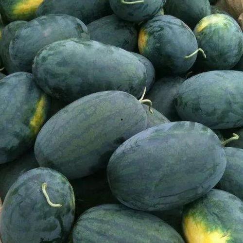 大兴吃瓜图片,趣味横生的夏日街头一幕