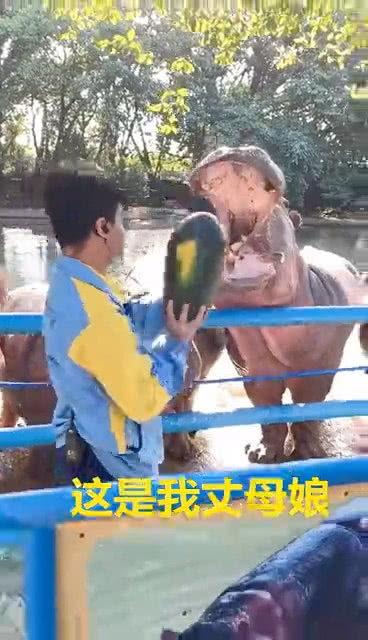 吃瓜动作的视频,揭秘吃瓜动作的趣味瞬间