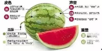 吃瓜入口微信,微信新功能带你轻松追剧聊八卦