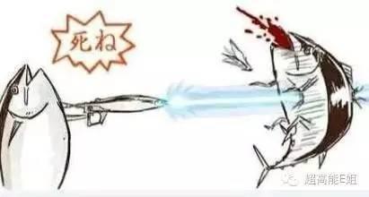 会吃瓜的咸鱼,笑谈人间百态