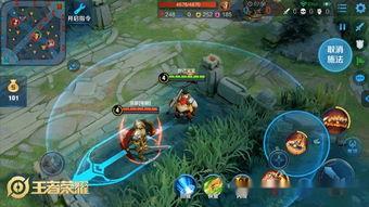 王者吃瓜设置,揭秘游戏圈幕后风云与趣味瞬间