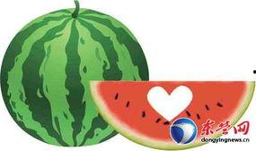 爱心 吃瓜 爱心,爱心与吃瓜的奇妙融合
