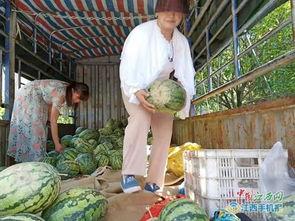 爱心 吃瓜 爱心,爱心与吃瓜的奇妙融合