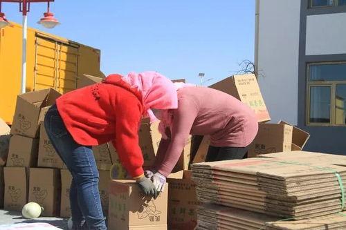 民勤吃瓜事件,一场引发社会关注的网络热议