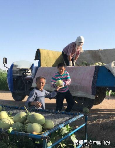 民勤吃瓜事件,一场引发社会关注的网络热议