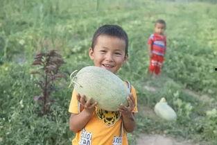 吃瓜群众甜甜,揭秘娱乐圈幕后故事