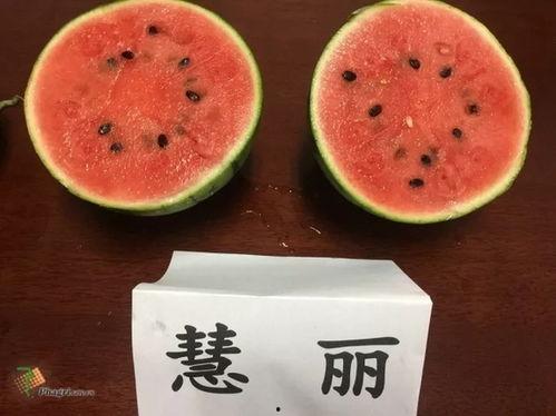 西园丽景吃瓜