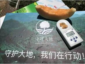 吃瓜能改变世界吗,揭秘吃瓜如何改变世界