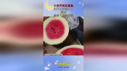 吃瓜了盲盒,潮流玩具背后的秘密与魅力