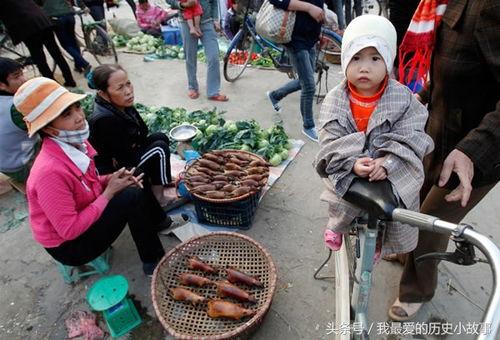 越南老表吃瓜视频大全,趣味横生的本土文化盛宴