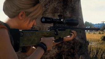 吃鸡晚上在哪吃瓜