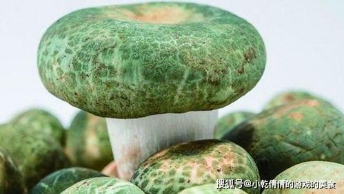 林子苒吃瓜,揭秘娱乐圈幕后故事