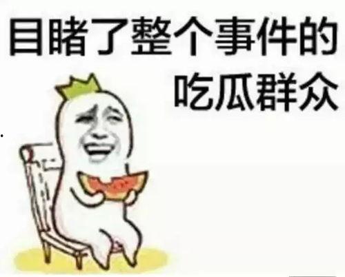 吃瓜群众程某某,揭秘娱乐圈幕后故事
