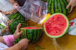 晋江吃瓜视频,揭秘娱乐圈幕后真相