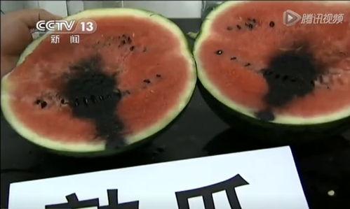 晋江吃瓜视频,揭秘娱乐圈幕后真相